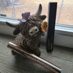 User submitted media