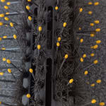 User submitted media 3 of 3