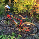 pugoying electric bicycle Corgi Bike for Adults 960W, 48V 20Ah Battery Ebike, 20'' Fat Tire Full Suspension Mountain Ebike, Step-Thru E Bike, 28MPH & 80Miles Range, LCD Display, 7 Speed Hydraulic Disc Color & Wheel Size:Red - 19