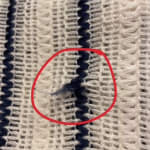 User submitted media 2 of 2