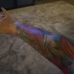 User submitted media