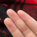 User submitted media