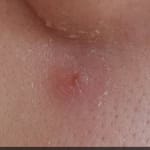 User submitted media