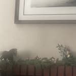 Green Faux Norfolk Pine Pre Lit LED Battery Operated Garland