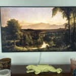 User submitted media