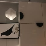 User submitted media