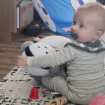 User submitted media