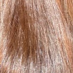 User submitted media 2 of 2