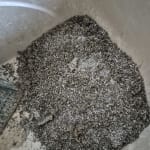 User submitted media