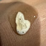 User submitted media 1 of 2