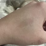 User submitted media 2 of 2