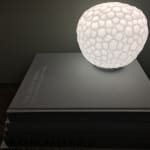 User submitted media 1 of 2