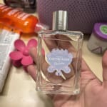 Daydreamer by Demetra Fragrance