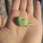 User submitted media 1 of 2