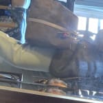 User submitted media