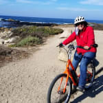 Trek lift+ deals lowstep
