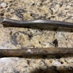 Twig Dinner Forks Set of 4