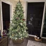 Natural Seagrass Woven Tree Collar