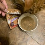 User submitted media 1 of 2