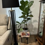 User submitted media