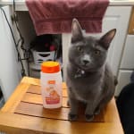 User submitted media