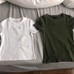 User submitted media 1 of 2