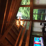 User submitted media