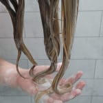 User submitted media 1 of 3