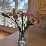 Clear Ruffle Glass Vase - World Market