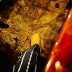 User submitted media