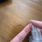 User submitted media 2 of 2