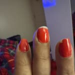 User submitted media