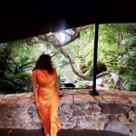 User submitted media