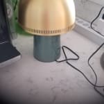 User submitted media