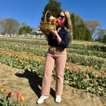 User submitted media