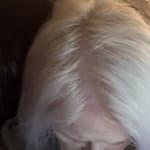 User submitted media 3 of 3