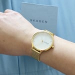 Skagen skw2773 store