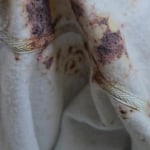 View Gallery Image #7