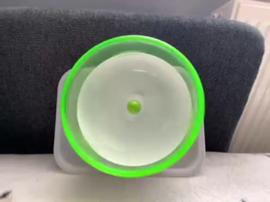Pets at shop home silent wheel