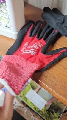 View Gallery Image #2