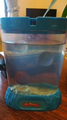 The Original Sea Monkeys Ocean Zoo Aquarium Pets At Home