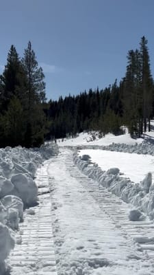 Talon E 29 3 21 Trail Bike Giant Bicycles Us Talon E 29 3 21 Trail Bike Giant Bicycles Us