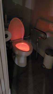 Toilet Night Light –