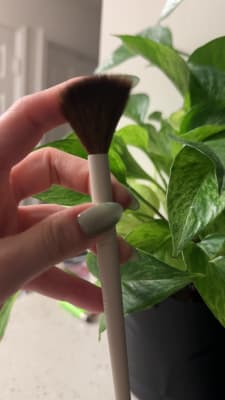 View Gallery Image #2