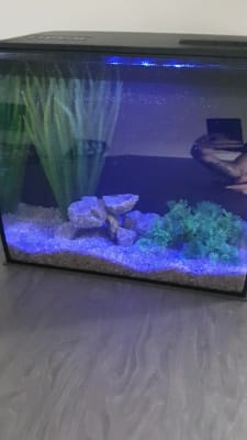 Fluval Flex Glass Aquarium 34 Litre Black