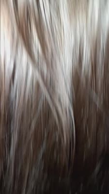 View Gallery Image #11