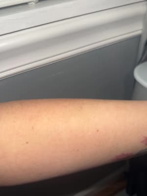 View Gallery Image #10