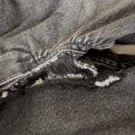 User submitted media 2 of 2