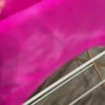 User submitted media 2 of 2