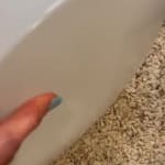 User submitted media